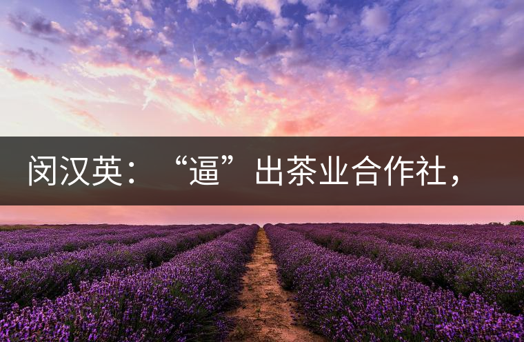 閔漢英：“逼”出茶業(yè)合作社，帶領村民走上致富路