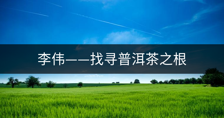 李偉——找尋普洱茶之根