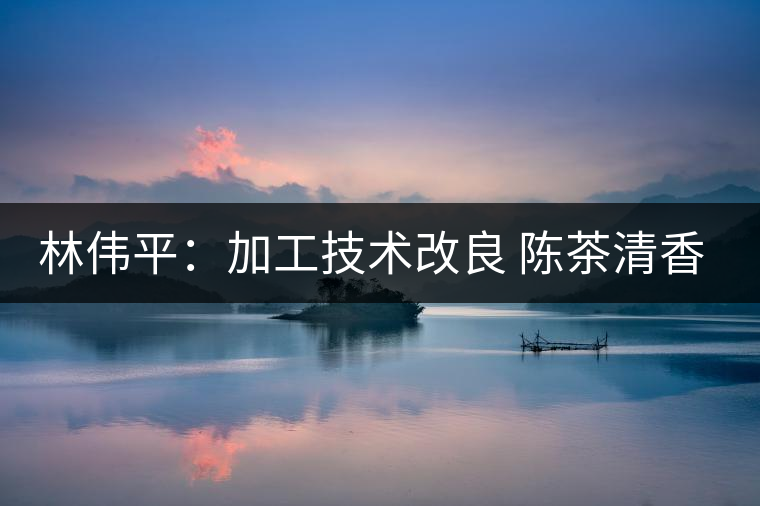 林偉平:加工技術(shù)改良 陳茶清香仍在 林偉平:加工技術(shù)改良 陳茶清香仍在