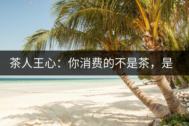 茶人王心：你消費(fèi)的不是茶，是我