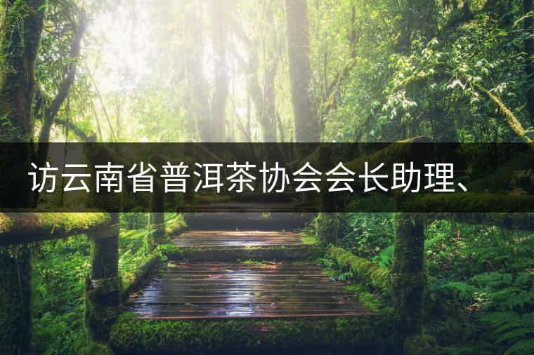 訪云南省普洱茶協(xié)會(huì)會(huì)長(zhǎng)助理、副秘書長(zhǎng)、茶界名人張明春
