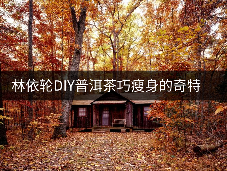 林依輪DIY普洱茶巧瘦身的奇特效果