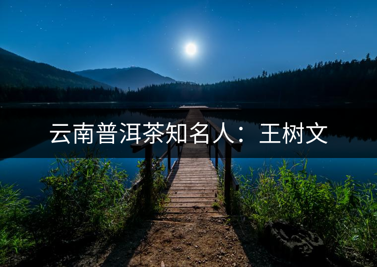 云南普洱茶知名人:王樹(shù)文 云南普洱茶知名人:王樹(shù)文