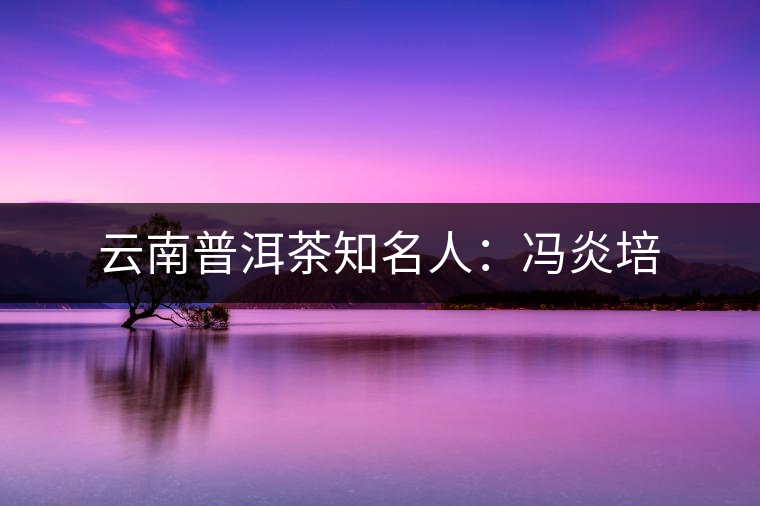 云南普洱茶知名人:馮炎培 云南普洱茶知名人:馮炎培