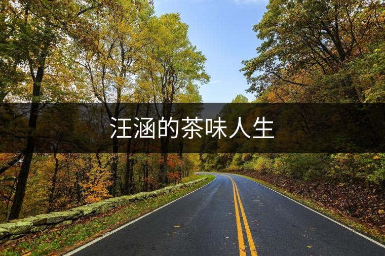 汪涵的茶味人生