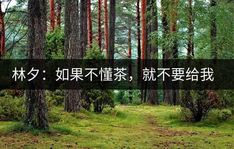 林夕：如果不懂茶，就不要給我送茶