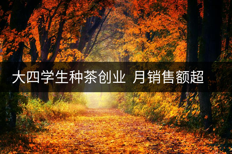 大四學(xué)生種茶創(chuàng)業(yè)  月銷售額超五十萬