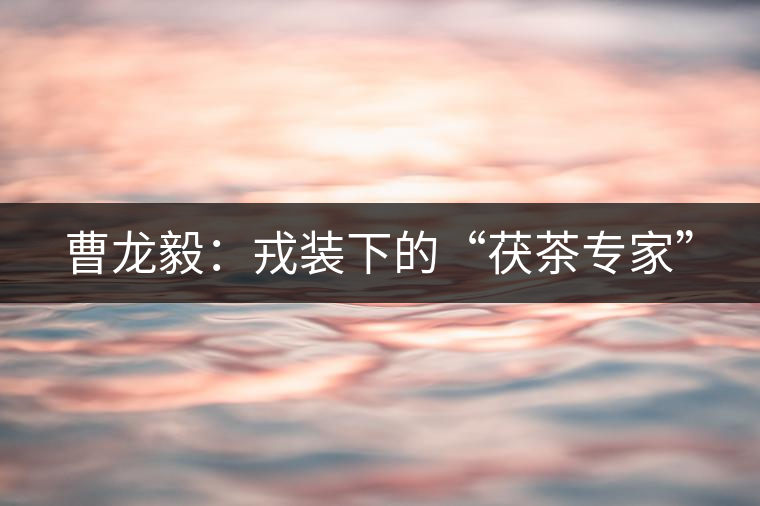 曹龍毅:戎裝下的“茯茶專家” 曹龍毅:戎裝下的“茯茶專家”