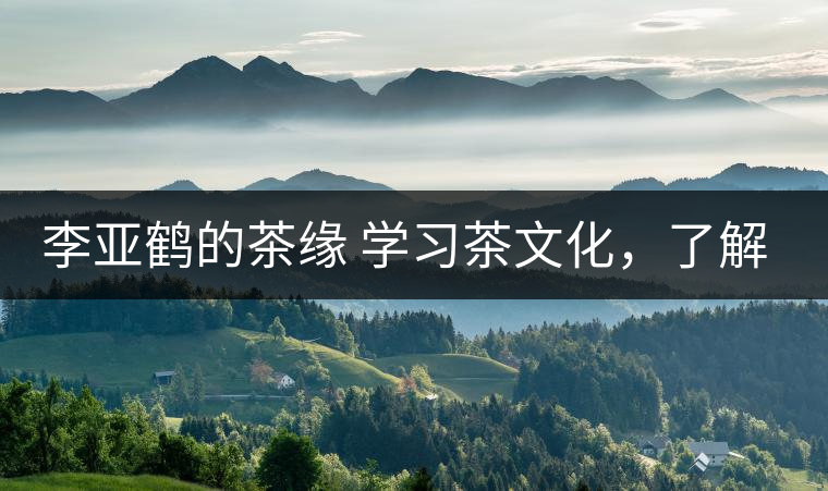 李亞鶴的茶緣 學(xué)習(xí)茶文化，了解茶文化，品味茶文化