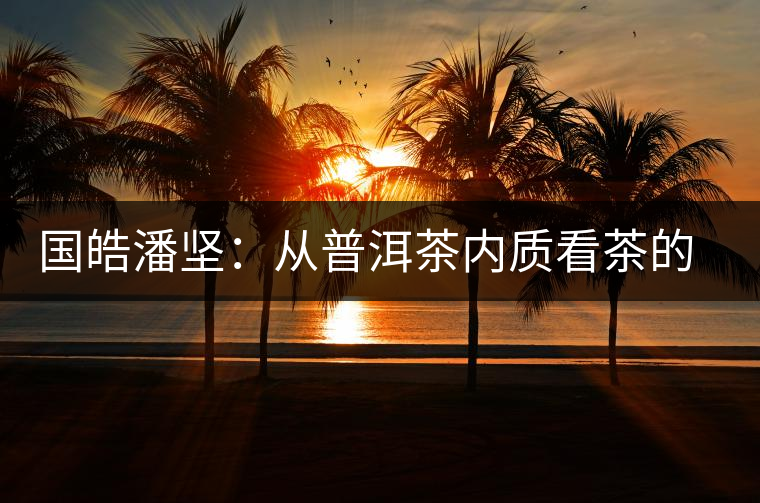 國皓潘堅：從普洱茶內質看茶的好壞