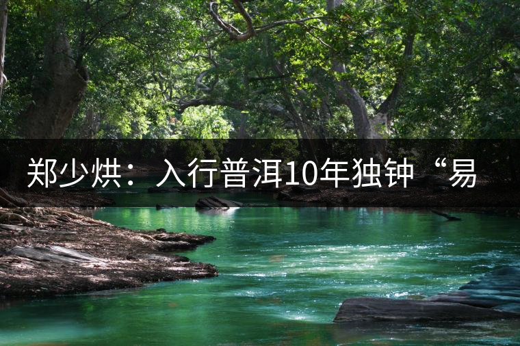 鄭少烘：入行普洱10年獨鐘“易武山頭”