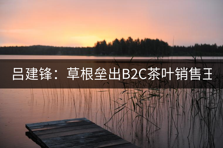 呂建鋒：草根壘出B2C茶葉銷售王國51普洱網(wǎng)