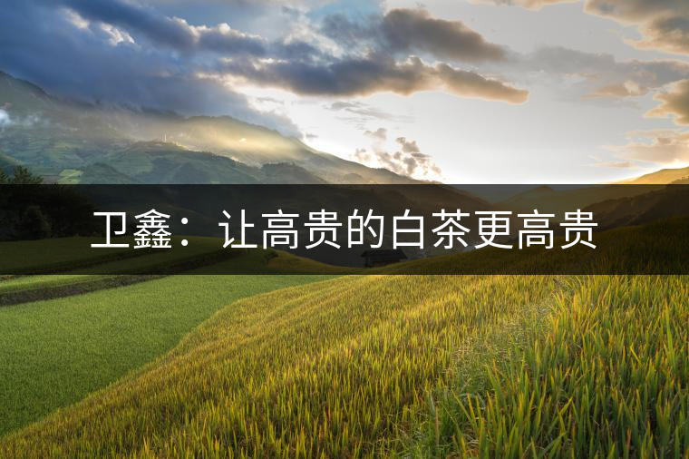 衛(wèi)鑫：讓高貴的白茶更高貴