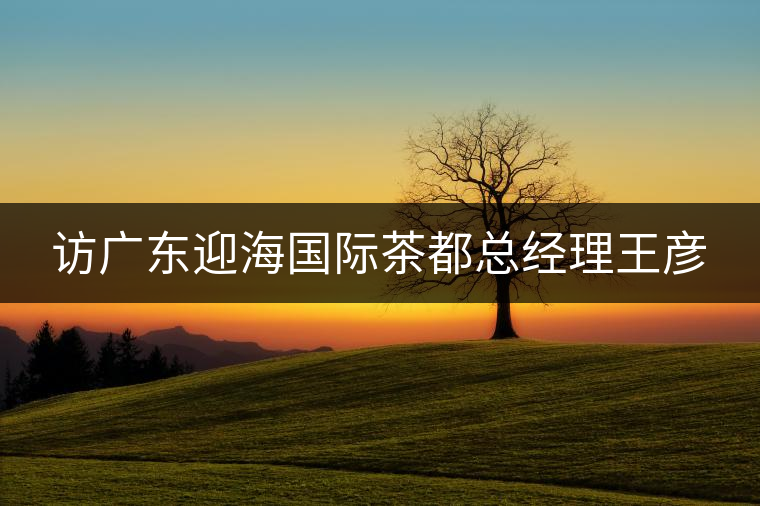 訪廣東迎海國(guó)際茶都總經(jīng)理王彥 訪廣東迎海國(guó)際茶都總經(jīng)理王彥