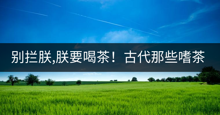 別攔朕,朕要喝茶！古代那些嗜茶如命的皇帝