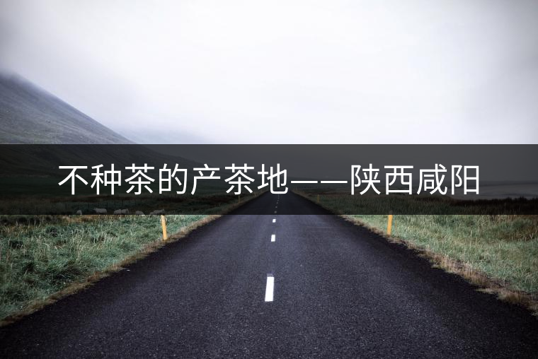 不種茶的產茶地——陜西咸陽