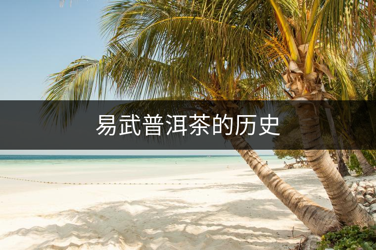 易武普洱茶的歷史 易武普洱茶的歷史