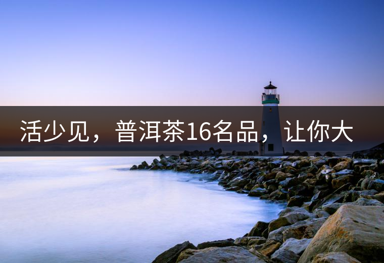 活少見(jiàn)，普洱茶16名品，讓你大開(kāi)眼界