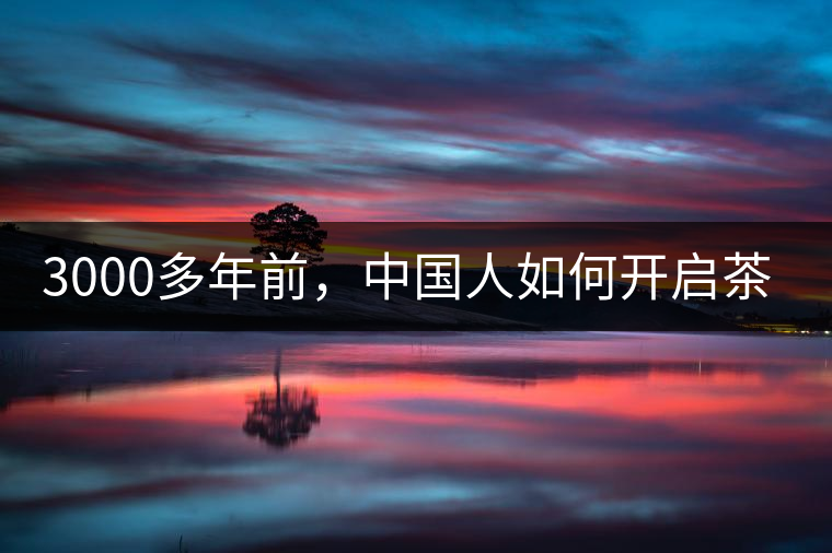 3000多年前，中國(guó)人如何開(kāi)啟茶生活？