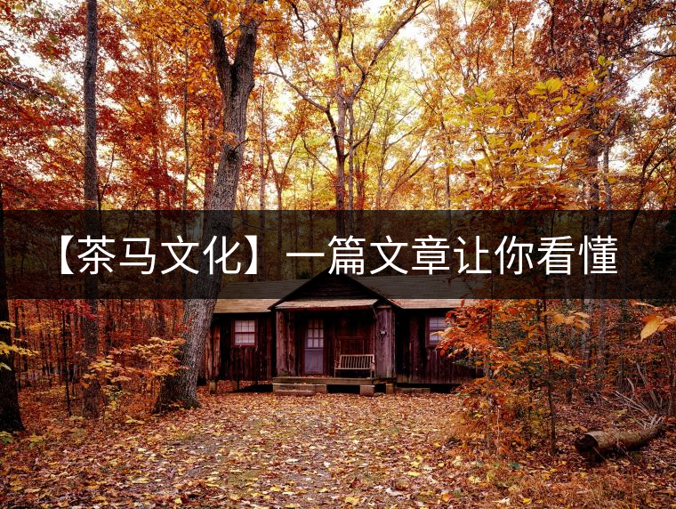 【茶馬文化】一篇文章讓你看懂茶葉的更迭興衰 【茶馬文化】一篇文章讓你看懂茶葉的更迭興衰