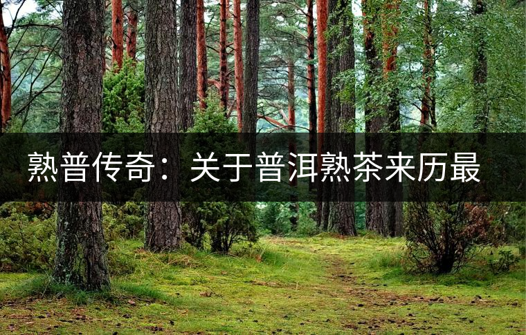 熟普傳奇:關于普洱熟茶來歷最詳細的編年史 熟普傳奇:關于普洱熟茶來歷最詳細的編年史