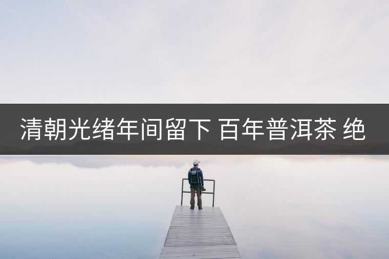 清朝光緒年間留下 百年普洱茶 絕對(duì)珍品 難得一見