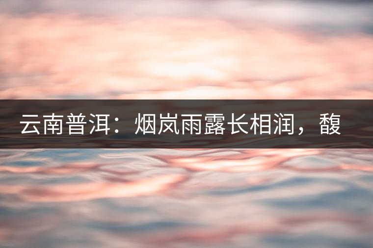 云南普洱：煙嵐雨露長相潤，馥郁芳香久久留