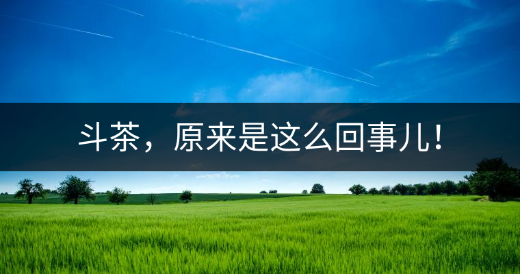 斗茶，原來是這么回事兒！