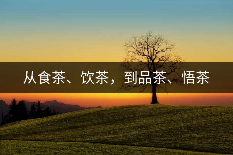 從食茶、飲茶，到品茶、悟茶