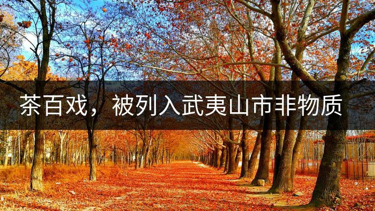 茶百戲，被列入武夷山市非物質(zhì)文化遺產(chǎn)的茶湯