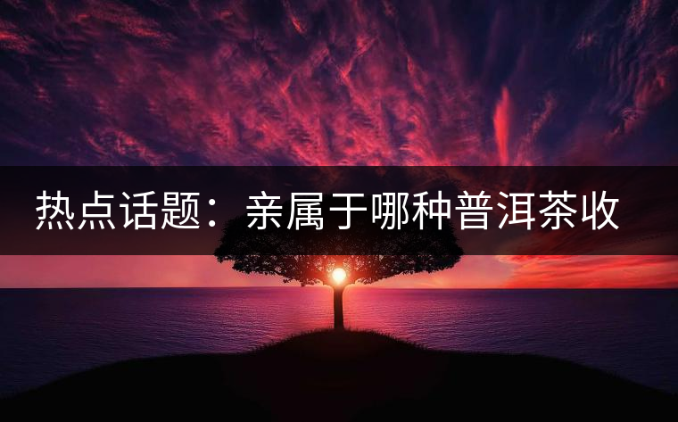 熱點(diǎn)話(huà)題：親屬于哪種普洱茶收藏者？