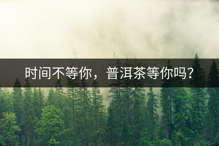 時(shí)間不等你，普洱茶等你嗎？