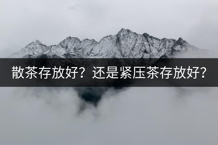 散茶存放好？還是緊壓茶存放好？