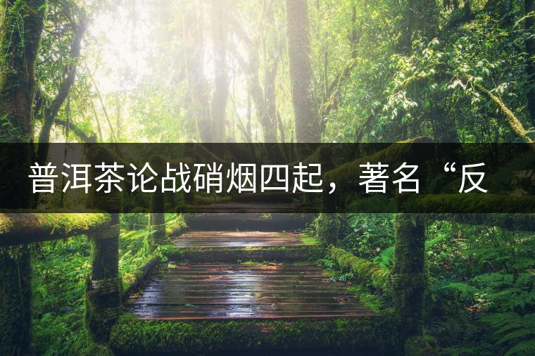 普洱茶論戰(zhàn)硝煙四起，著名“反偽斗士”司馬南有話說