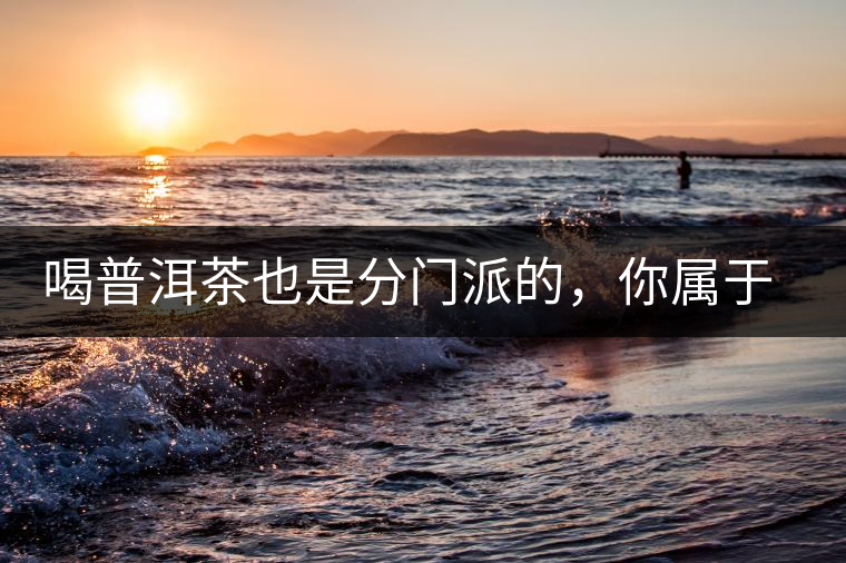 喝普洱茶也是分門派的，你屬于哪派呢？