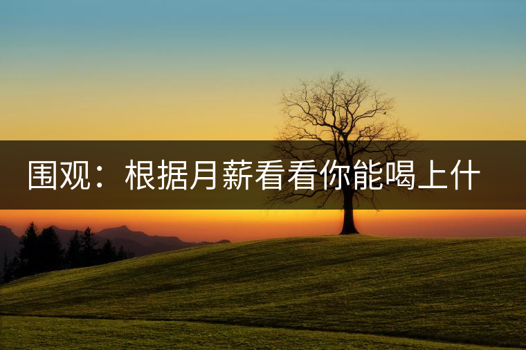 圍觀：根據(jù)月薪看看你能喝上什么茶？