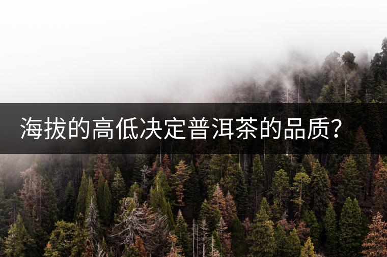 海拔的高低決定普洱茶的品質(zhì)？【附：名山頭茶海拔表】