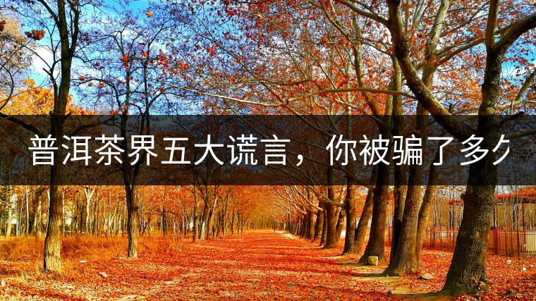 普洱茶界五大謊言，你被騙了多久？