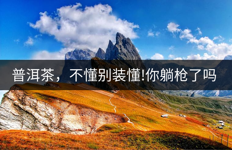 普洱茶，不懂別裝懂!你躺槍了嗎?