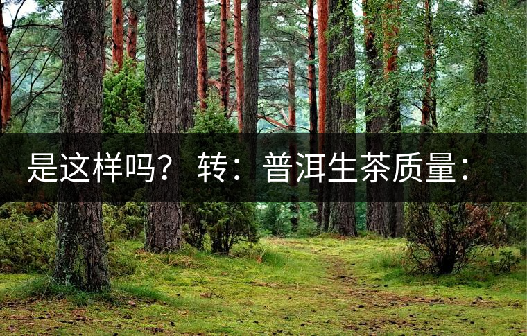 是這樣嗎？ 轉(zhuǎn)：普洱生茶質(zhì)量：大廠和小廠沒(méi)有區(qū)別