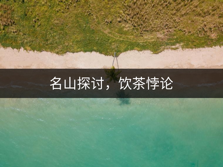 名山探討，飲茶悖論