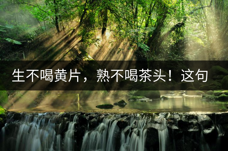 生不喝黃片，熟不喝茶頭！這句話你了解多少？