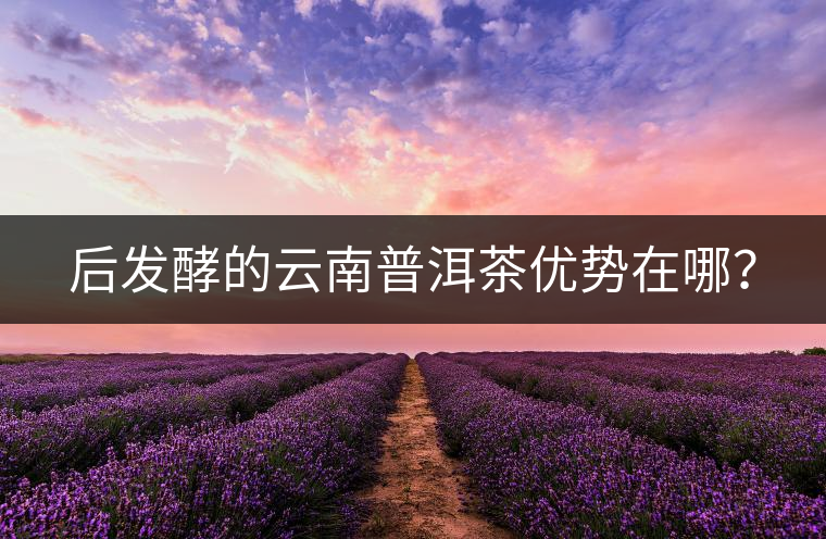 后發(fā)酵的云南普洱茶優(yōu)勢在哪？