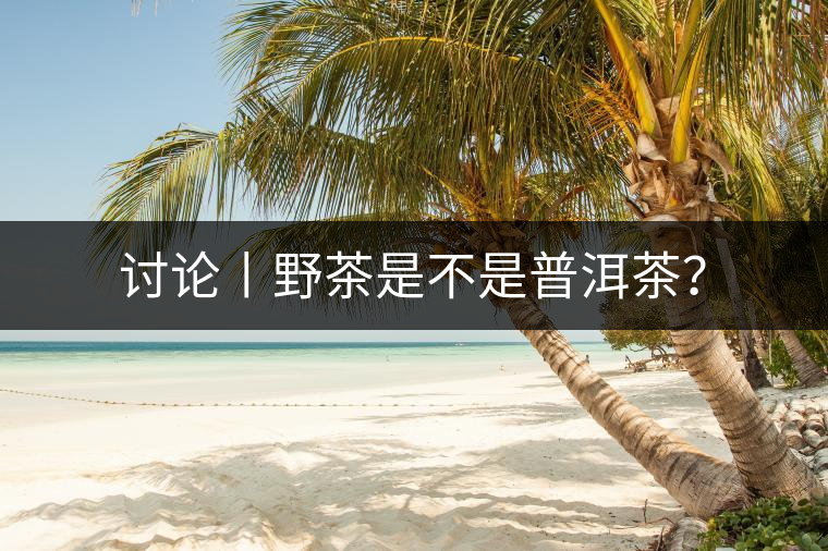 討論丨野茶是不是普洱茶？