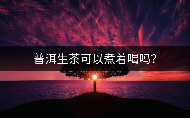 普洱生茶可以煮著喝嗎？