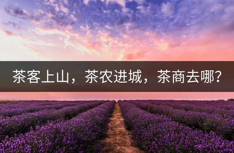 茶客上山，茶農(nóng)進(jìn)城，茶商去哪？