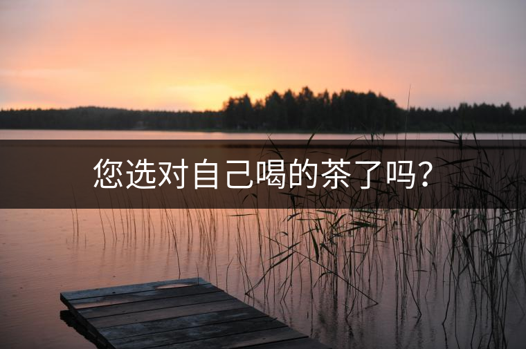 您選對自己喝的茶了嗎？