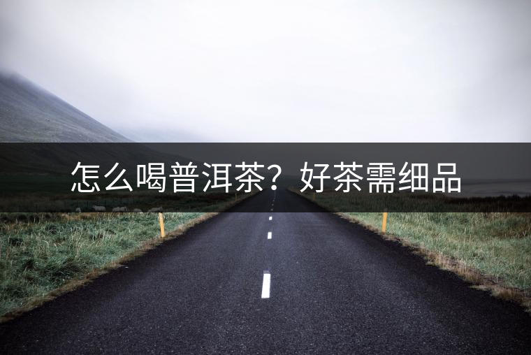 怎么喝普洱茶？好茶需細品