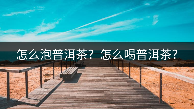 怎么泡普洱茶？怎么喝普洱茶？