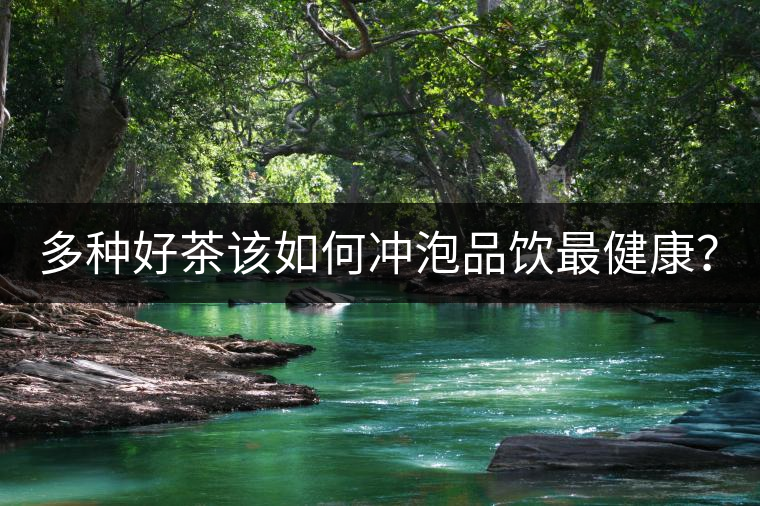 多種好茶該如何沖泡品飲最健康？